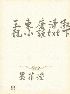 王东唐潇傲世潜龙小说txt下载