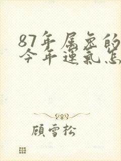 87年属兔的人今年运气怎么样