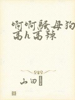 啊啊骚母狗主人高h高辣