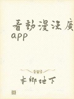看动漫没广告的app
