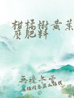 柑橘树黄叶用什么肥料
