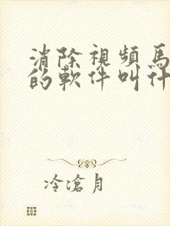 消除视频马赛克的软件叫什么