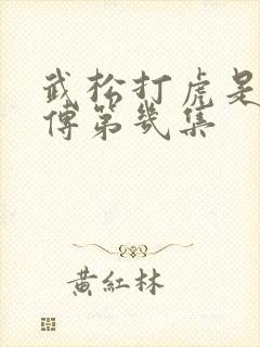 武松打虎是水浒传第几集
