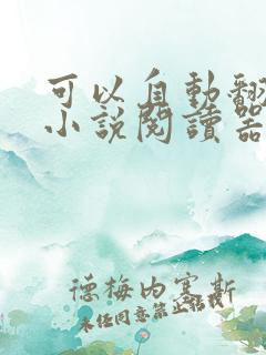 可以自动翻页的小说阅读器