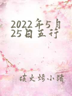 2022年5月25日五行