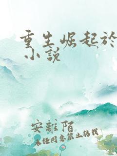 重生崛起于香江 小说