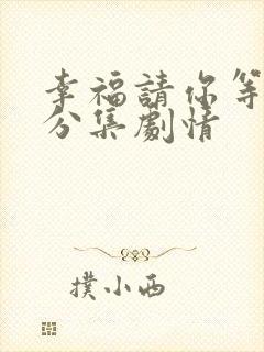 幸福请你等等我分集剧情