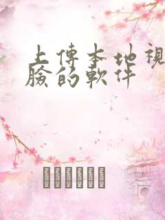 上传本地视频换脸的软件