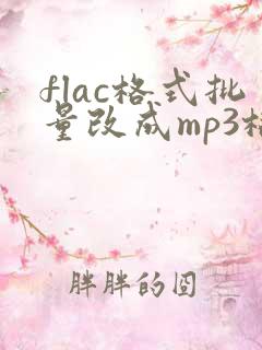 flac格式批量改成mp3格式