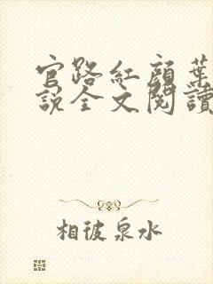 官路红颜叶鸣小说全文阅读