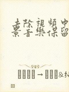 去除视频中的背景音乐保留人声