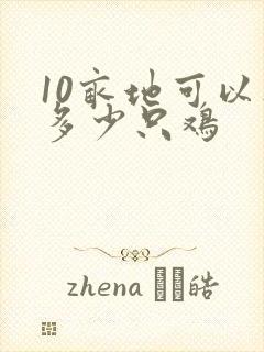 10亩地可以养多少只鸡
