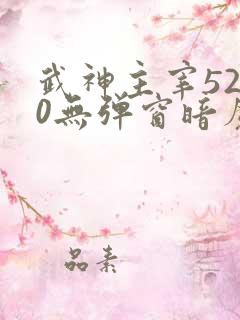 武神主宰5200无弹窗暗魔师