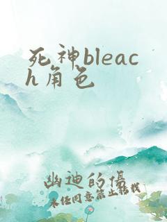 死神bleach角色
