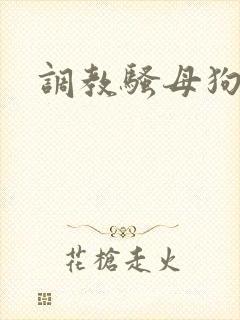 调教骚母狗骚货