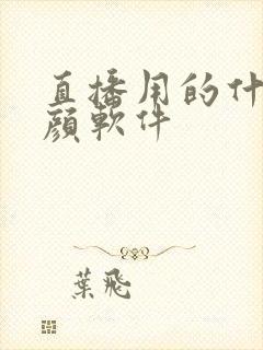 直播用的什么美颜软件