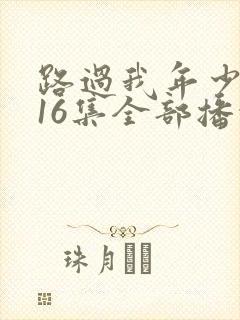 路过我年少时光16集全部播放