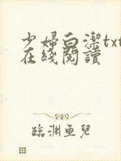 少妇白洁txt在线阅读