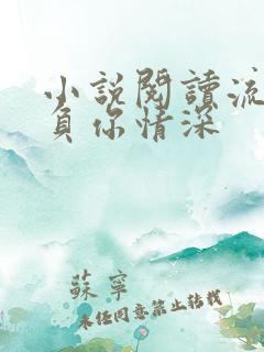 小说阅读流年不负你情深