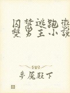 囚禁逃跑惩罚的双男主小说