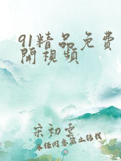 91精品免费公开视频