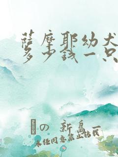 萨摩耶幼犬价格多少钱一只