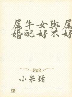 属牛女与属羊男婚配好不好
