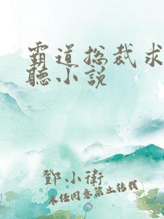 霸道总裁求抱抱听小说