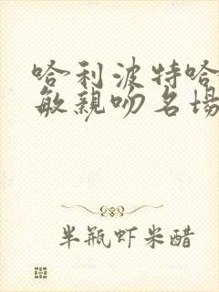 哈利波特哈利赫敏亲吻名场面