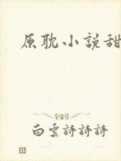 原耽小说甜文