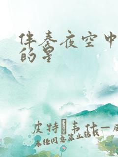 伴奏夜空中最亮的星