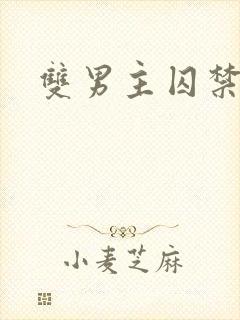 双男主囚禁年下