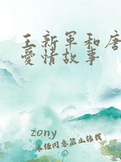 王新军和唐静的爱情故事