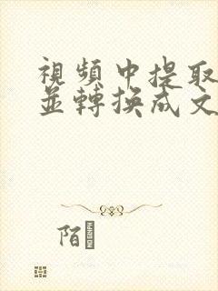 视频中提取音频并转换成文字