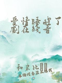 爱情睡醒了电视剧在线看