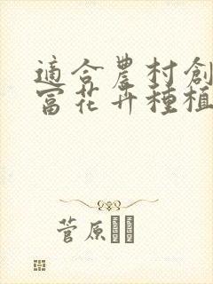 适合农村创业致富花卉种植