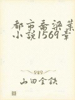 都市乔梁叶心仪小说1569章