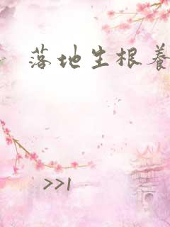 落地生根养好