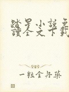 踏星小说免费阅读全文下载