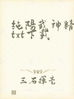 纯阳武神精校版txt下载