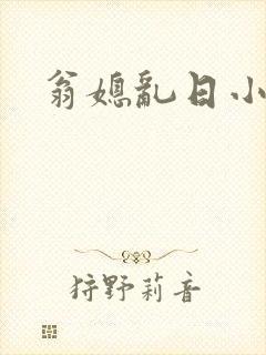 翁媳乱日小说