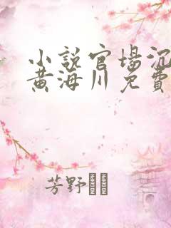 小说官场沉浮录黄海川免费阅读