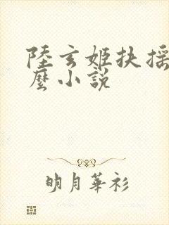 陆玄姬扶摇是什么小说