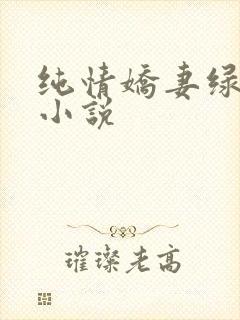 纯情娇妻绿帽公小说