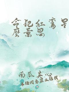 命犯红鸾星是什么意思