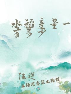水稻产量一亩能有多少