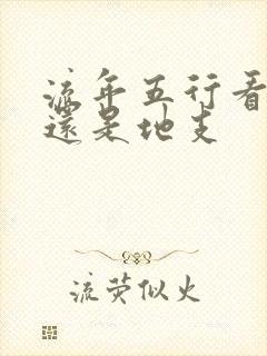 流年五行看天干还是地支