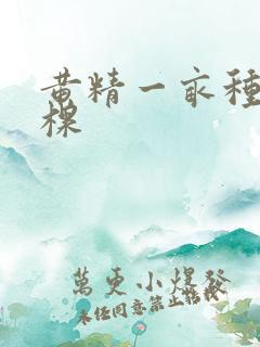 黄精一亩种多少棵