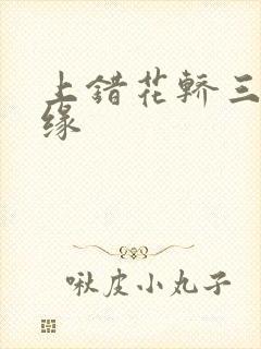 上错花轿三嫁奇缘