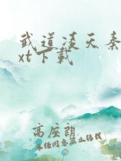 武道凌天秦初txt下载